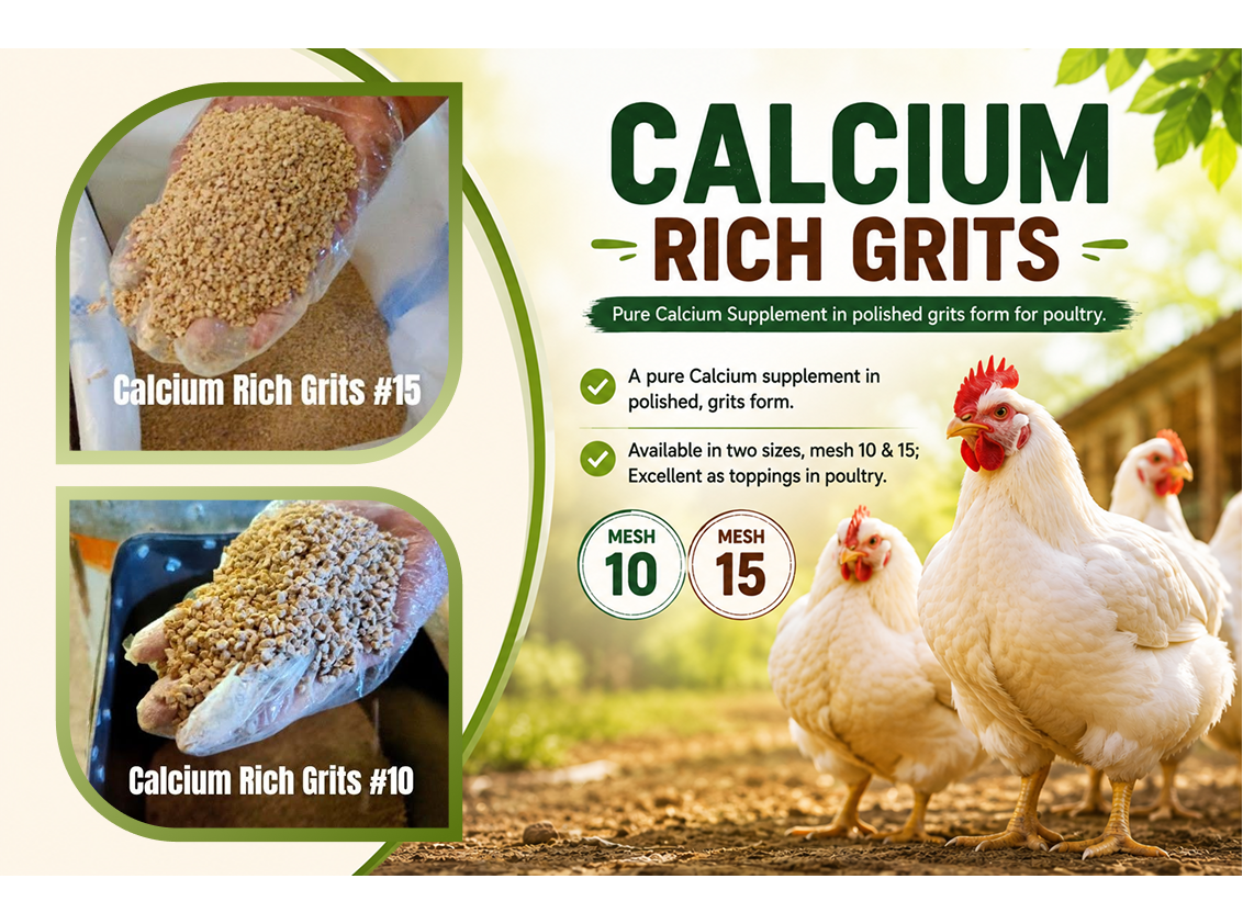 Poultry